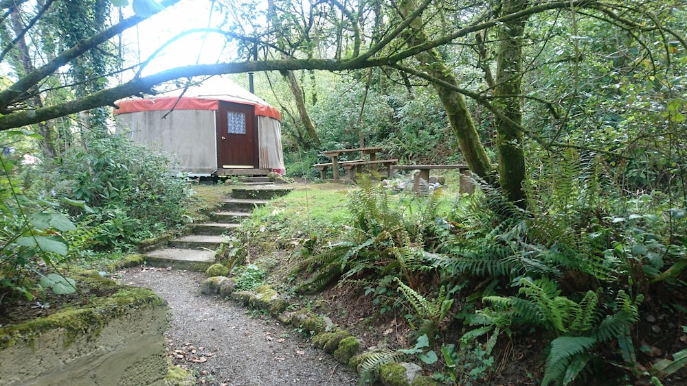 Large Woodland Yurt photo 1