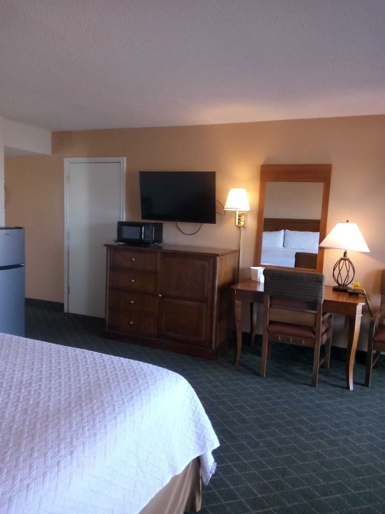 Basic Single Room photo 2