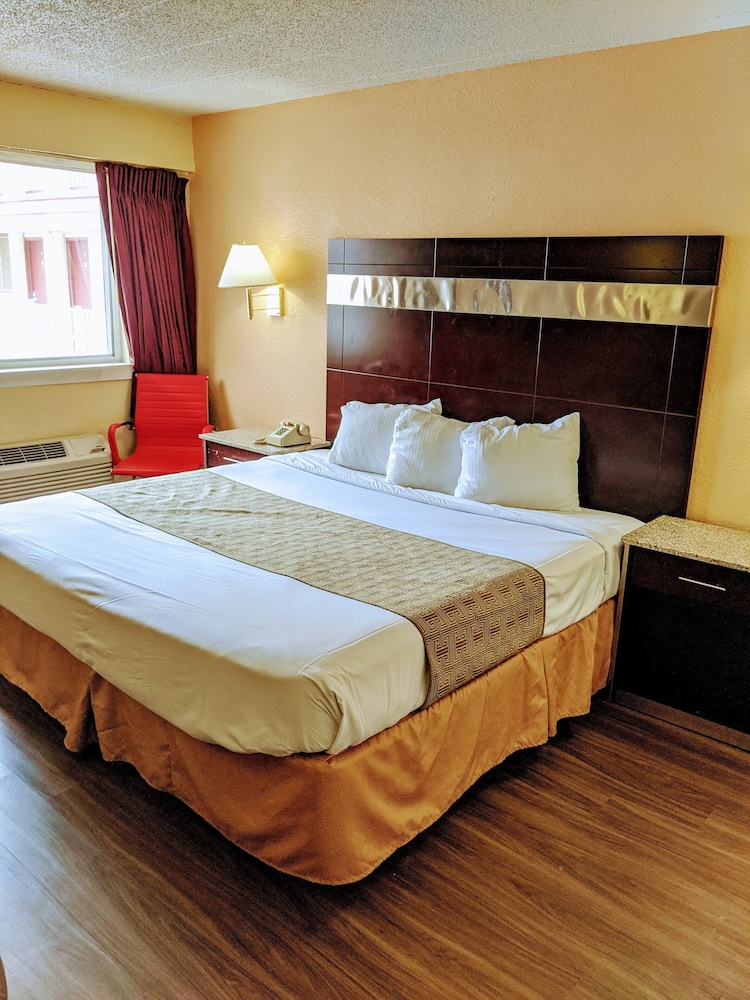 Basic Single Room, 1 King Bed, Smoking - Photo 6