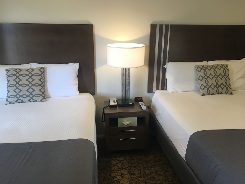 Premium Cabin, 2 Queen Beds, Refrigerator & Microwave, Mountain View photo 2