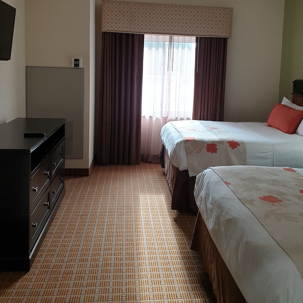 Executive Suite, 1 Bedroom, Non Smoking, Jetted Tub - Photo 3