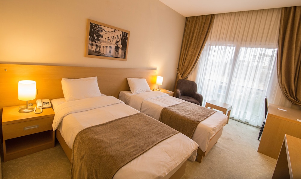 Double or Twin Room photo 3