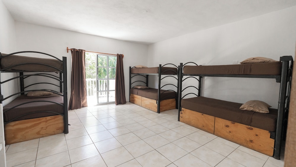 Basic Shared Dormitory photo 1