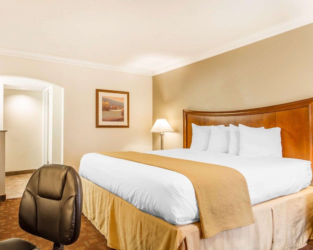 Business Room, 1 King Bed, Non Smoking - Photo 1