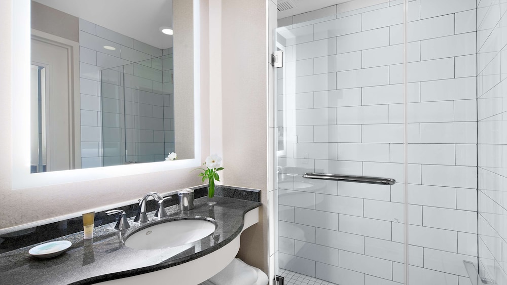 Suite (Panorama) - Photo 4