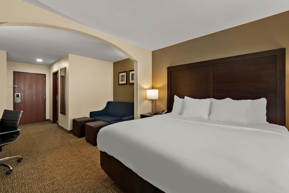 Suite, 1 King Bed with Sofa bed, Non Smoking