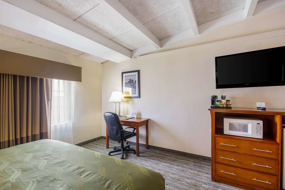 Suite, 1 King Bed with Sofa bed photo 3