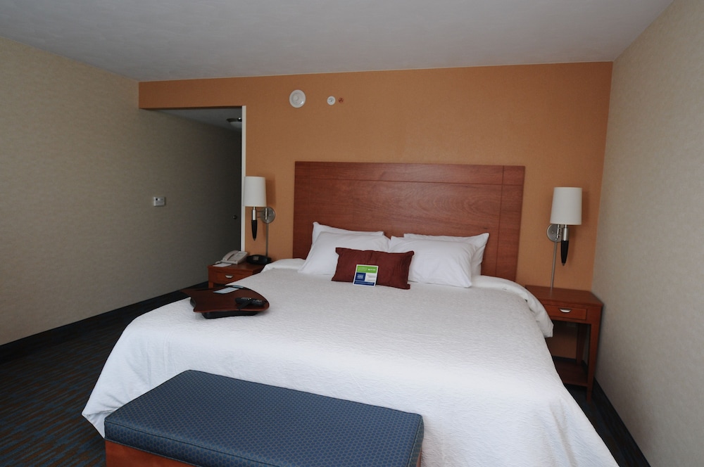 Room, 1 King Bed (Shower Only) photo 2
