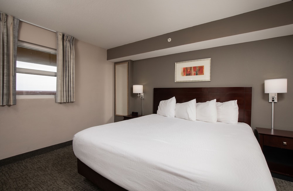 Standard Condo, 1 King Bed with Sofa bed photo 1