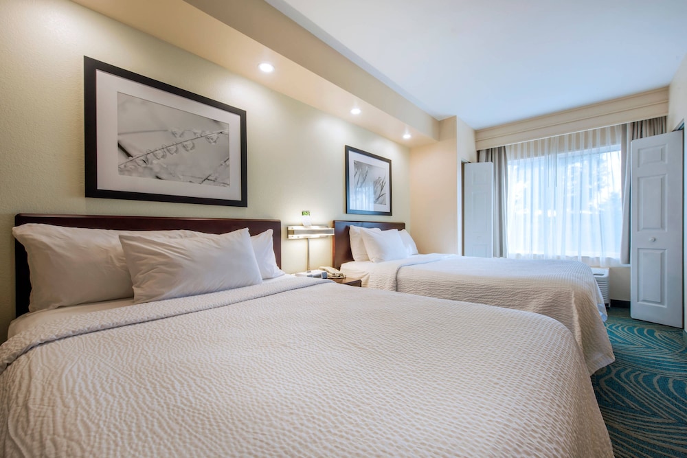 Suite, 1 Bedroom - Photo 1