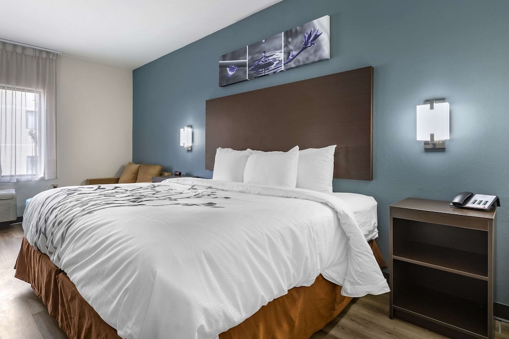 Room, 1 King Bed, Accessible, Non Smoking - Photo 1