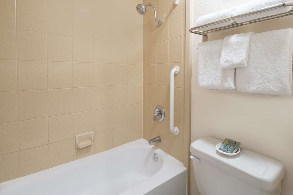 Business Room, 1 King Bed, Non Smoking, Refrigerator & Microwave (with Sofabed) - Photo 6