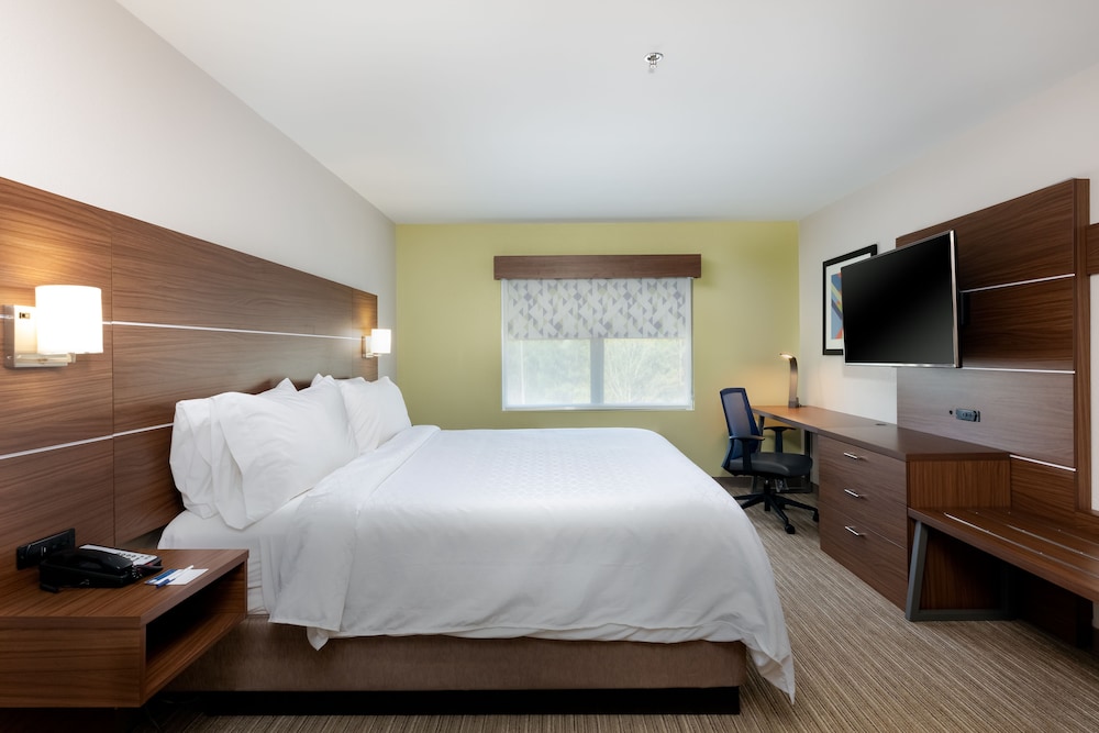 Suite, 1 King Bed - Photo 1