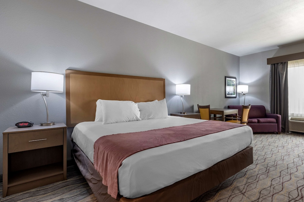 Standard Room, 1 King Bed, Non Smoking, Refrigerator & Microwave (with Sofabed)