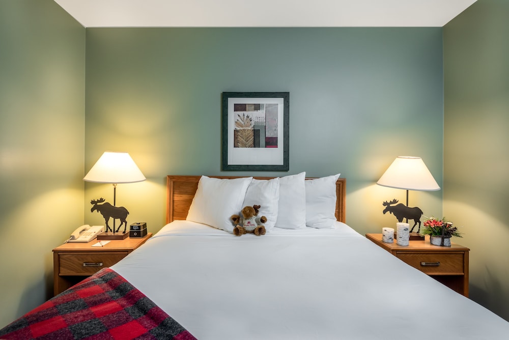 Suite, 1 Queen Bed with Sofa bed photo 3