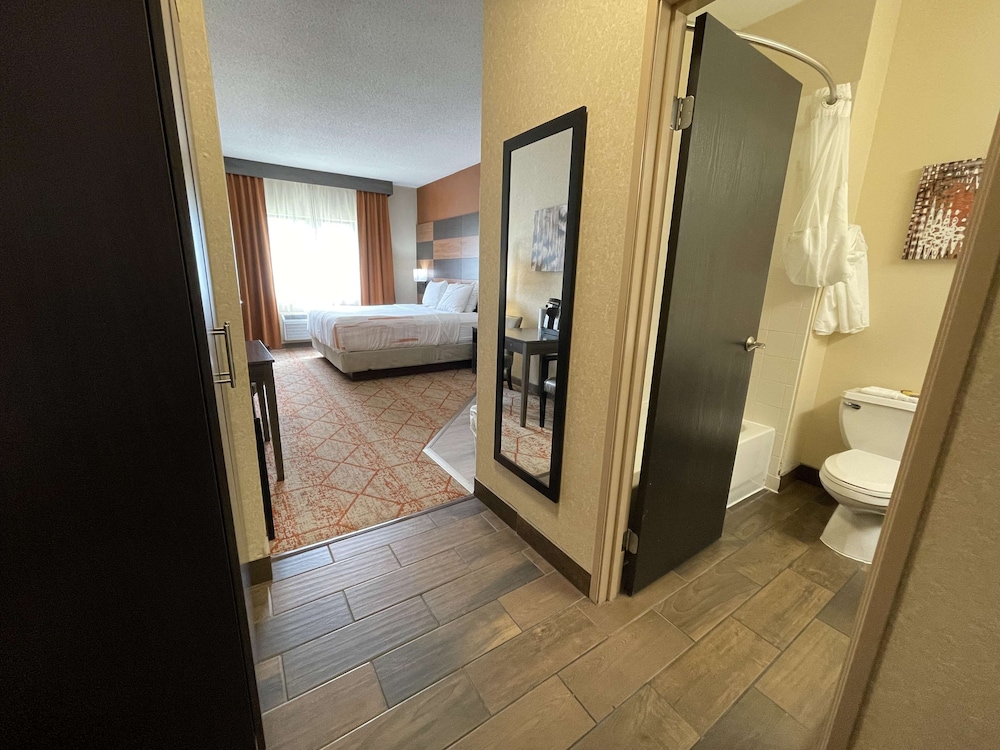 Standard Room, 1 King Bed, Non Smoking, Kitchenette - Photo 6