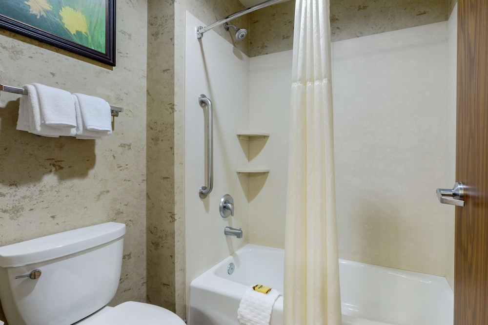 Suite, 1 King Bed, Non Smoking, Refrigerator & Microwave (with Sofabed) - Photo 4