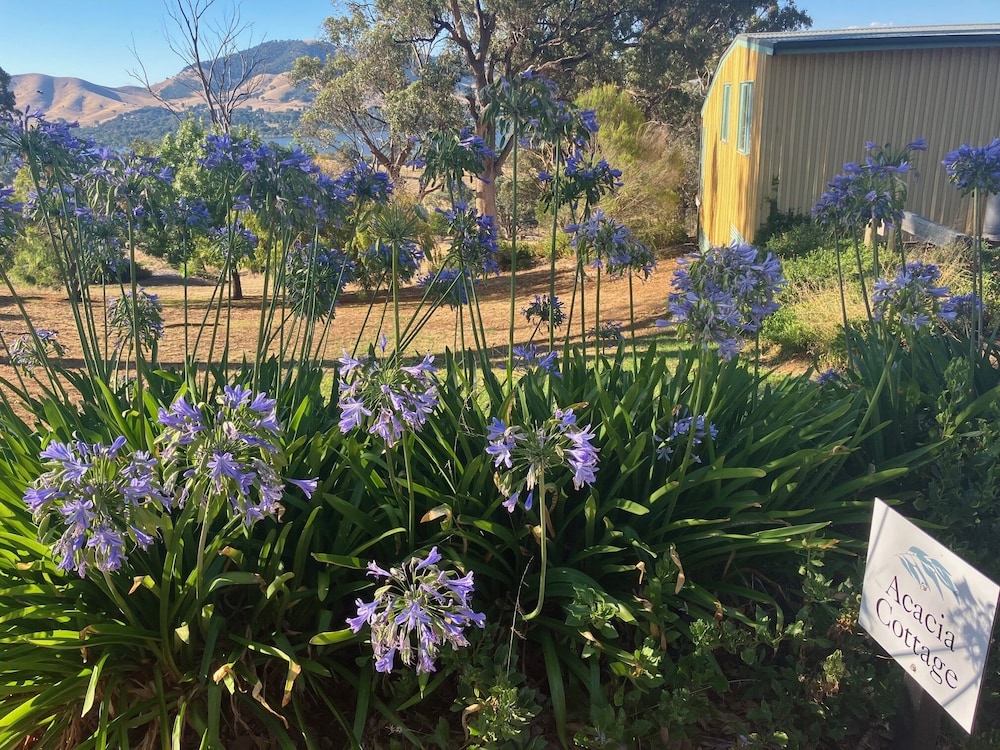 Standard Cottage, 2 Bedrooms, Non Smoking, Lake View (Acacia Cottage) photo 3