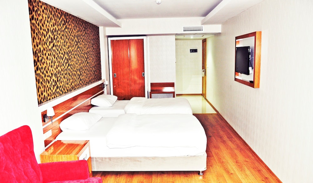 Single Room photo 1