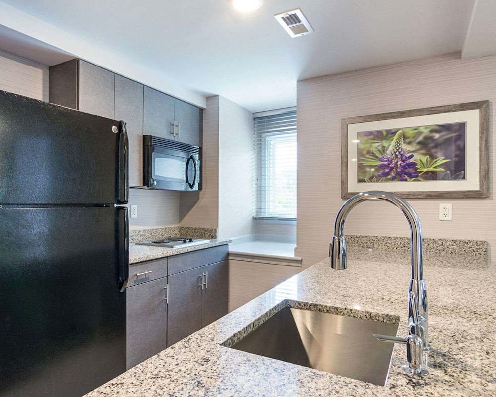 Premier Suite, 1 King Bed with Sofa bed, Non Smoking, Kitchenette (Efficiency) photo 3