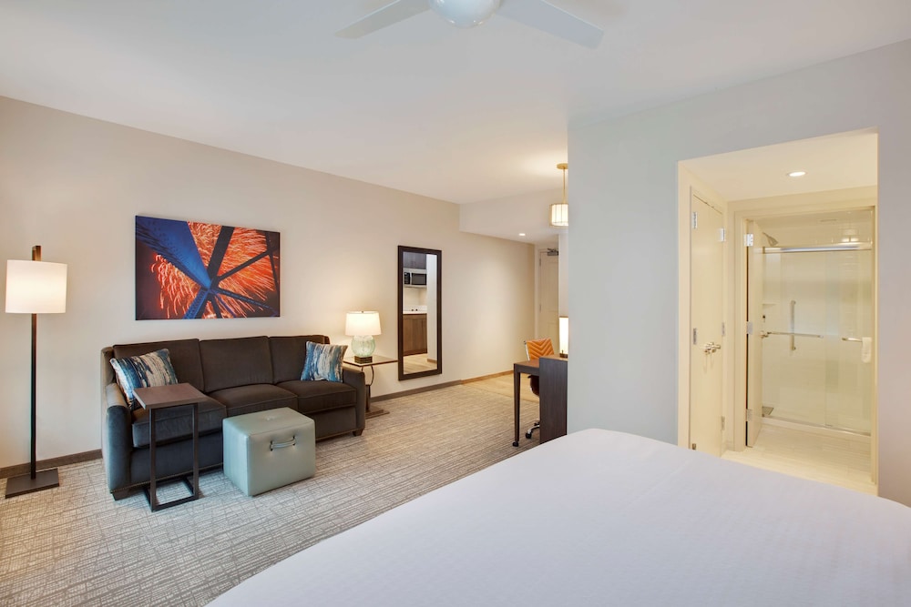 Studio Suite, 1 King Bed with Sofa bed, Bathtub photo 2