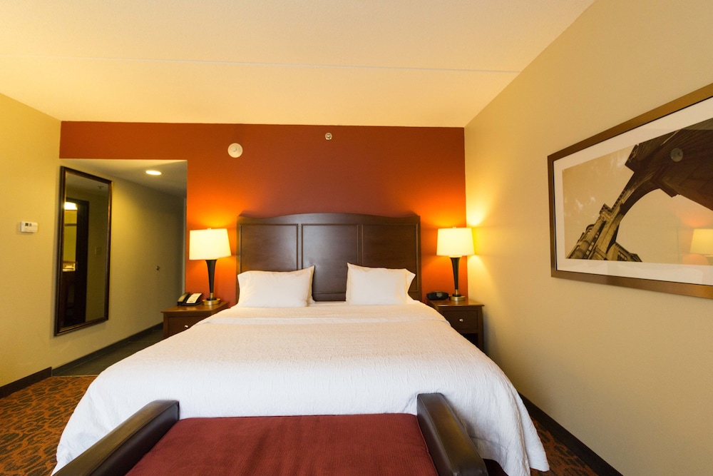 Room, 1 King Bed, Accessible, Non Smoking (Roll-in Shower) - Photo 8