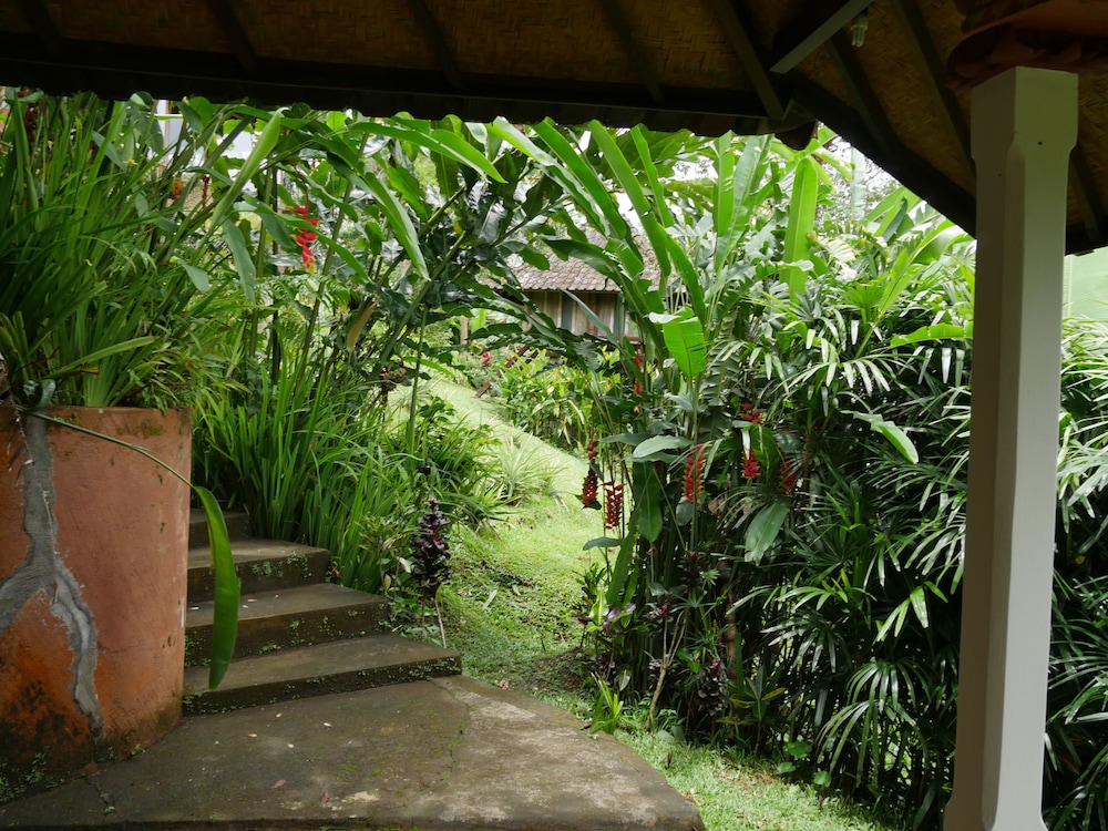 Deluxe Bungalow photo 2