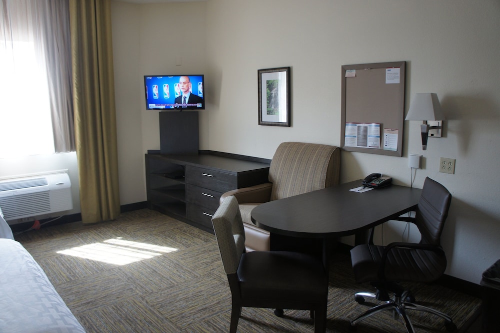 Studio Suite - Photo 4