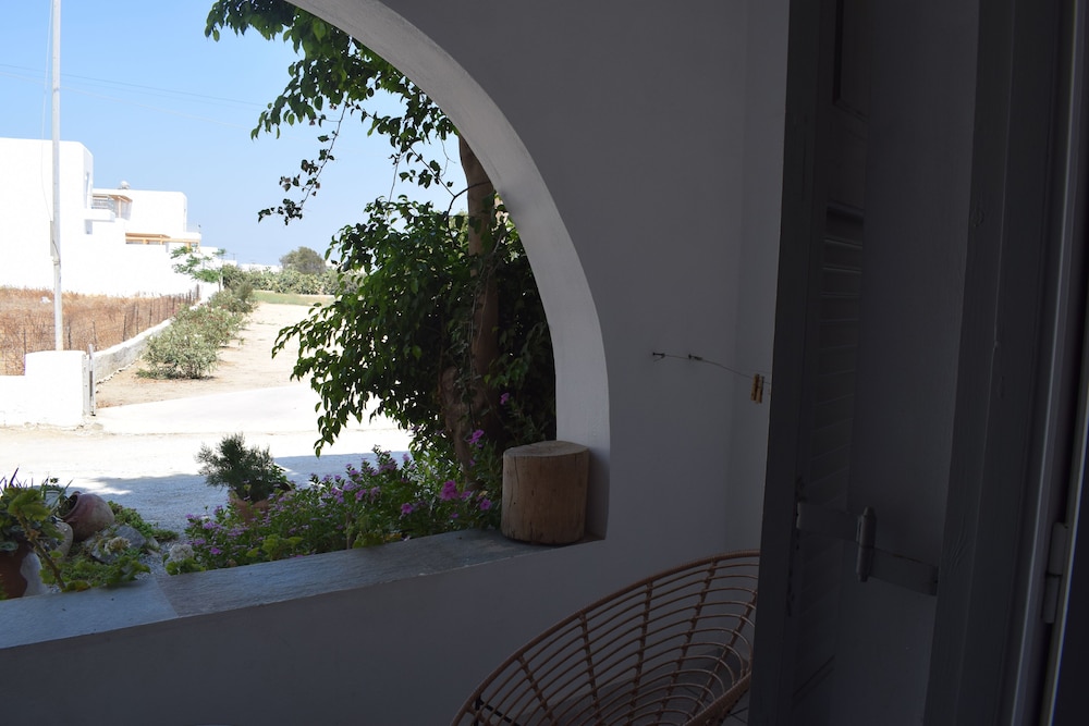 Executive Suite - Photo 12