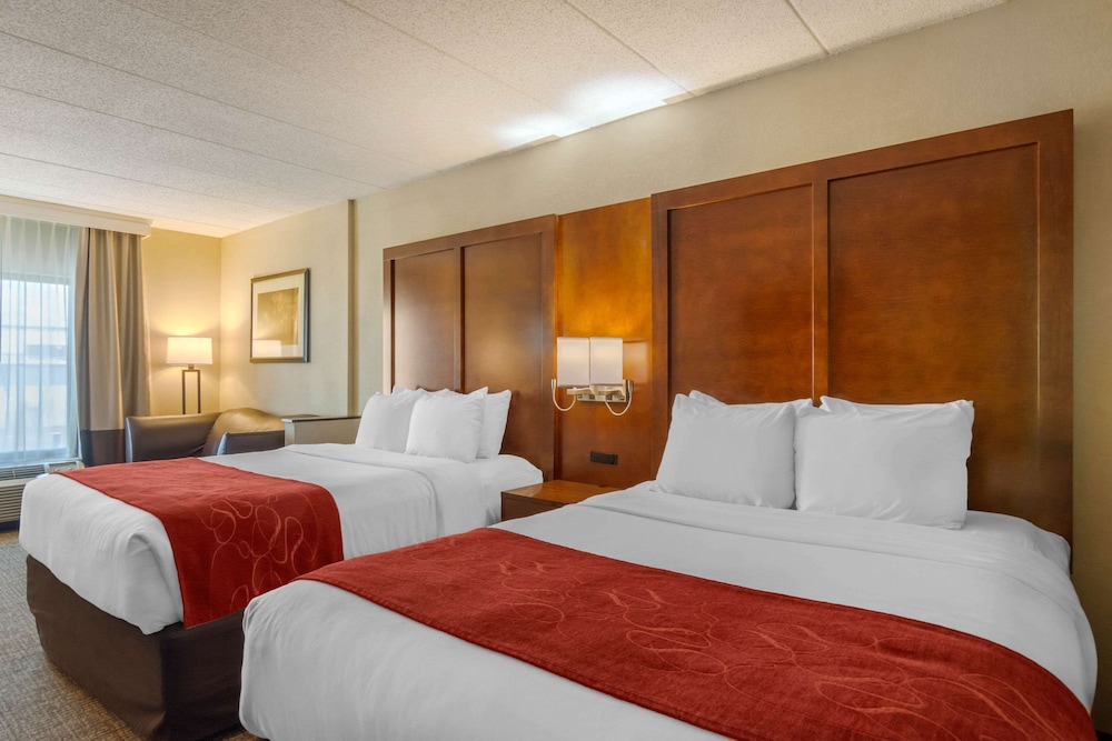 Studio Suite, Multiple Beds - Photo 4