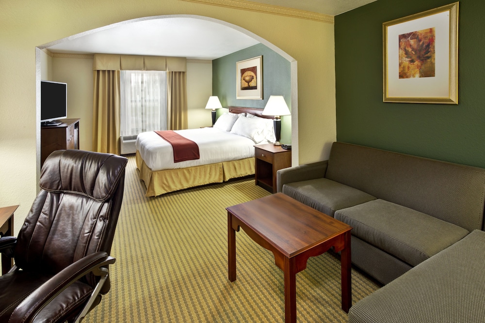 Suite, 1 King Bed - Photo 1