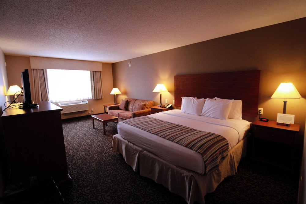 Standard Suite, 1 King Bed with Sofa bed, Non Smoking