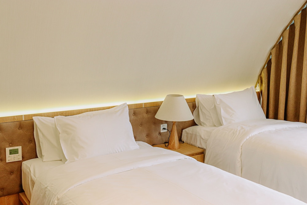 Premium Double Room Single Use, 2 Twin Beds photo 2