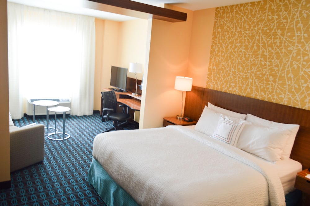 Suite, 1 King Bed with Sofa bed