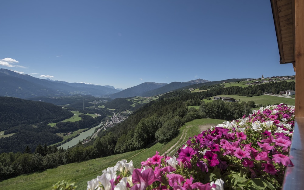 Comfort Room (Alps View) photo 2