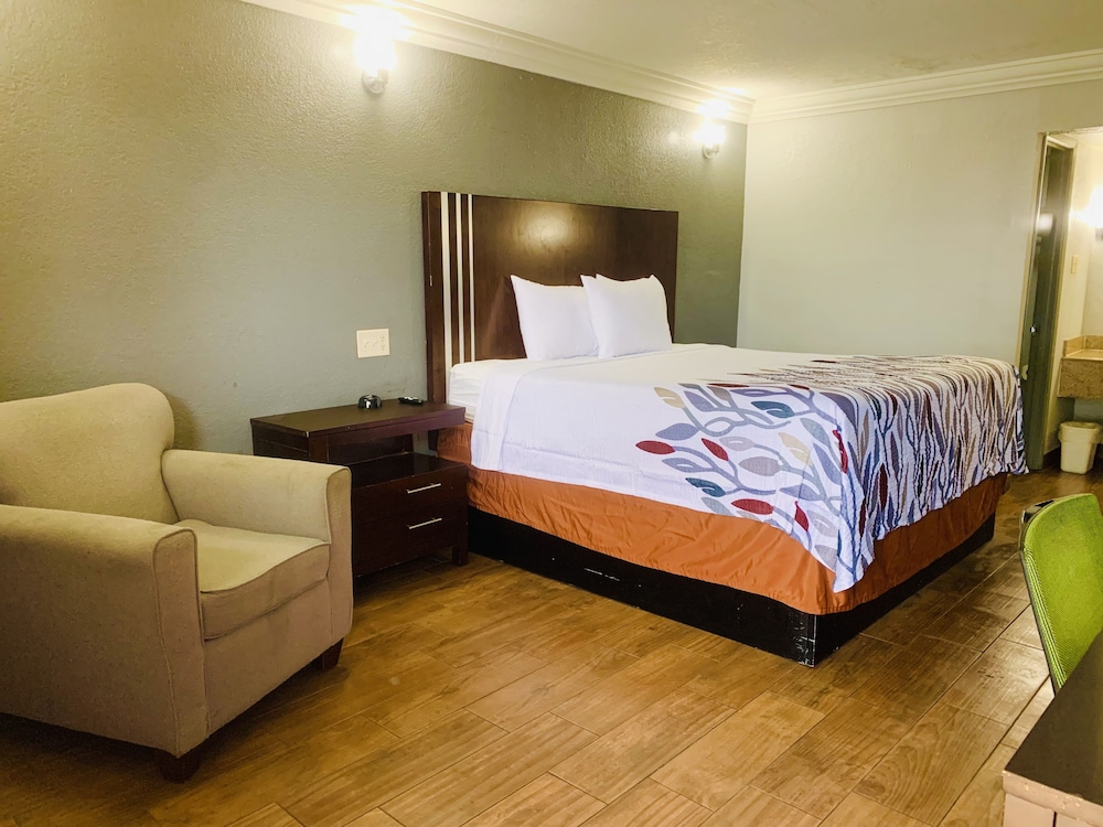 Room, 1 King Bed photo 1