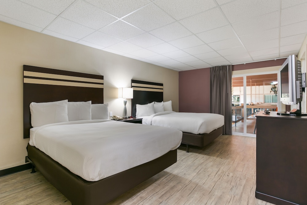 Deluxe Room, 2 Queen Beds, Pool Access (Poolside) - Photo 5