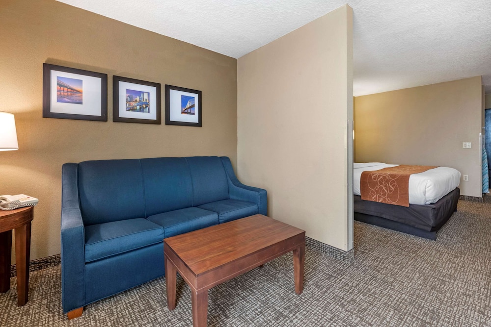Standard Suite, 1 King Bed, Accessible, Non Smoking - Photo 2