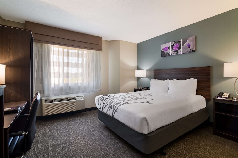 Standard Room, 1 Queen Bed photo 1
