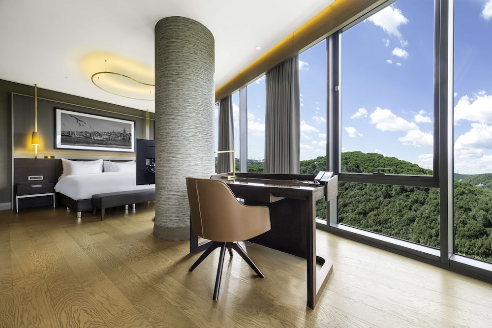 Junior Suite, City View with Lounge Access - Photo 10