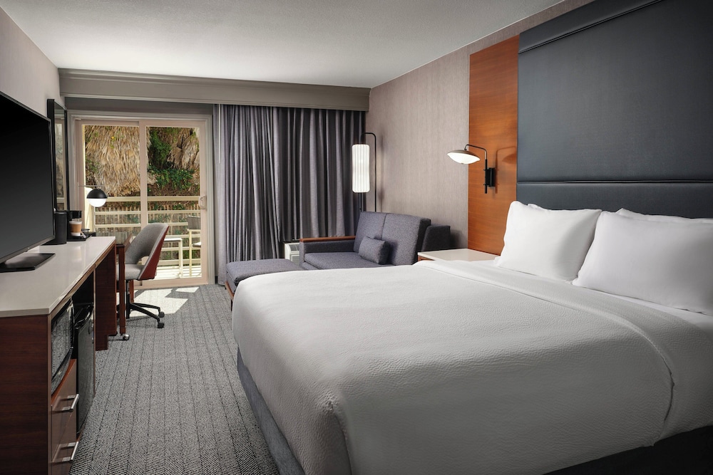 Room, 1 King Bed (Mobility Accessible, Roll-In Shower)