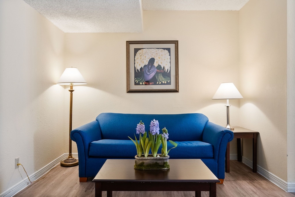 Single Room, 1 King Bed with Sofa bed photo 3