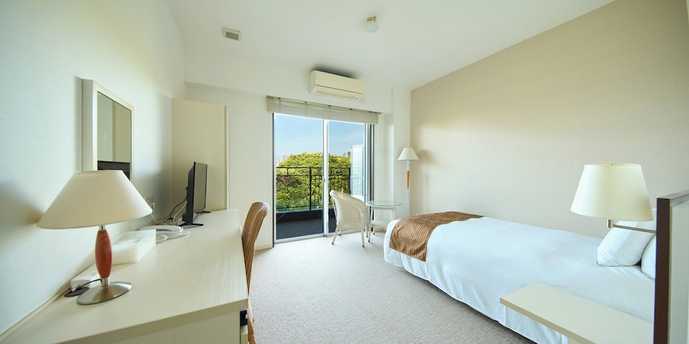 Deluxe Single Room, Non Smoking, Private Bathroom photo 3