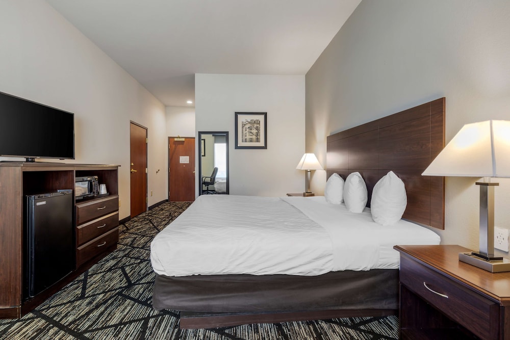 Standard Room, 1 King Bed, Non Smoking, Refrigerator & Microwave photo 3