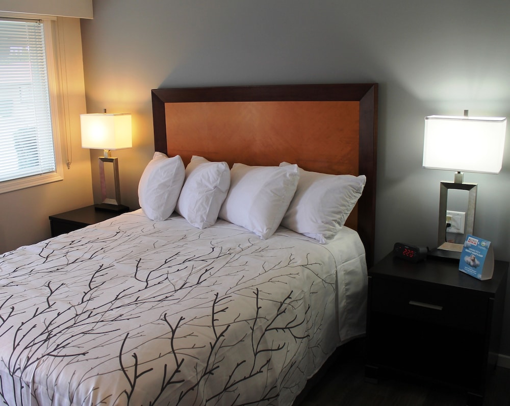 Comfort Single Room Pet Friendly