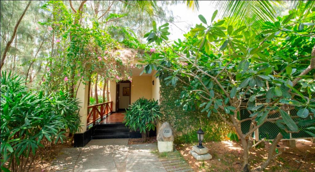 Standard Villa - Photo 6