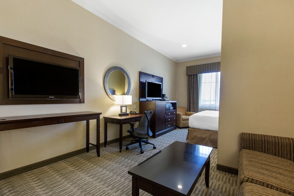 Suite, 1 King Bed with Sofa bed, Non Smoking (Pet Friendly) photo 1