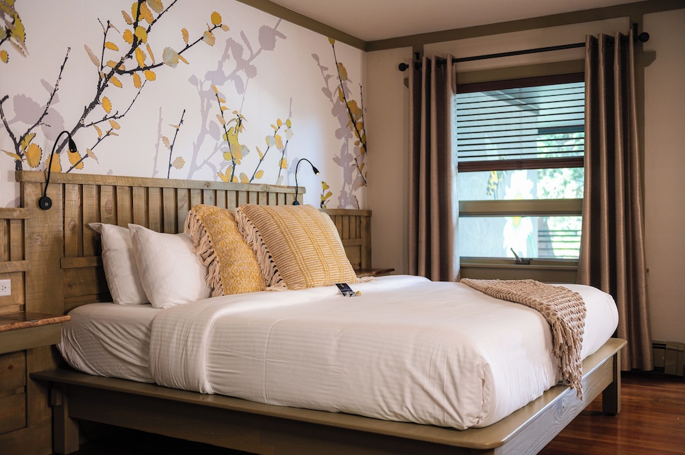 Single Room, Ensuite (Deluxe-Guest Room D, Non Pet-Friendly)