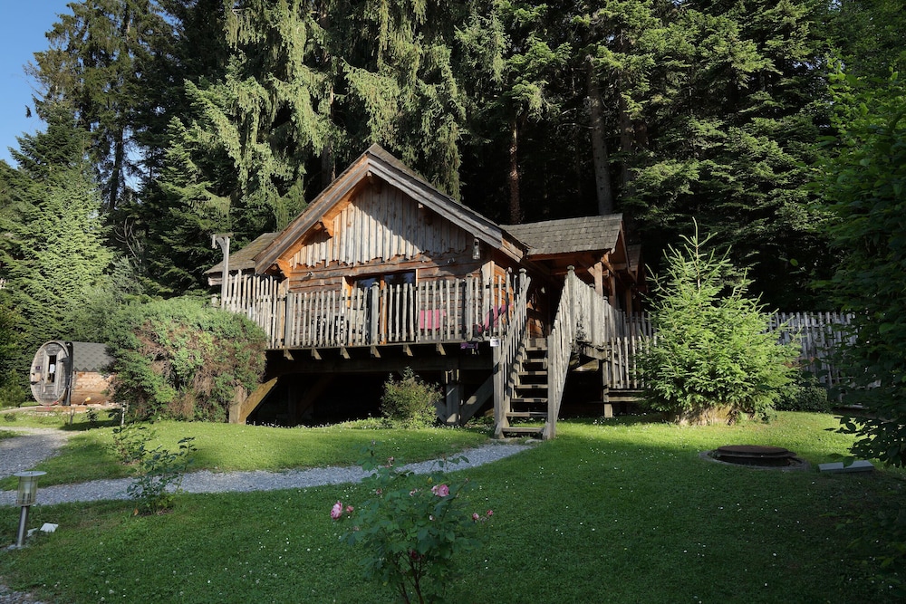 Family Tree House photo 2