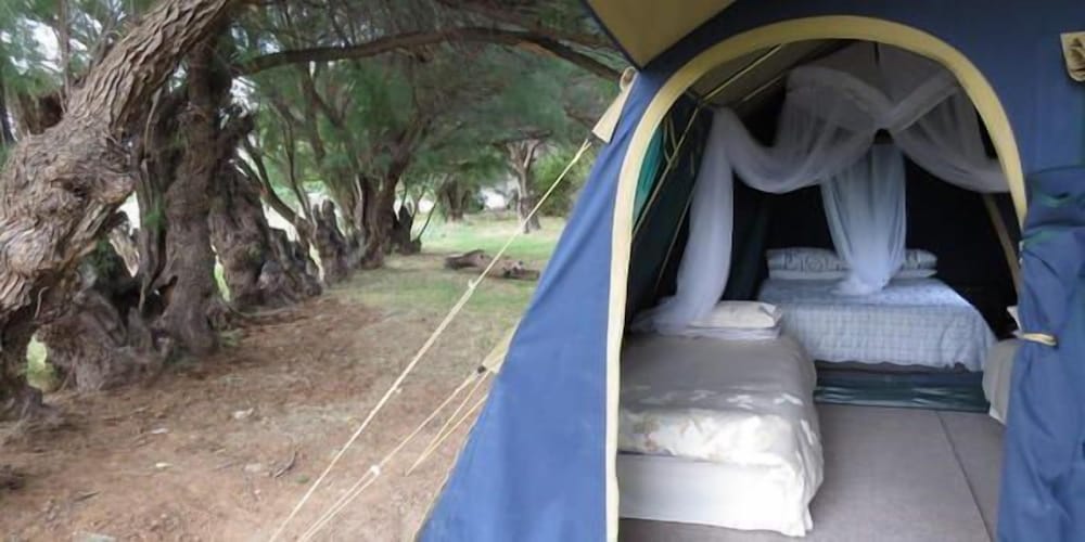 Comfort Tent, 2 Bedrooms photo 1